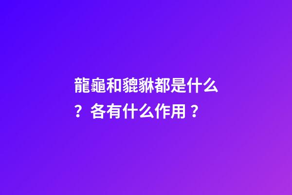 龍龜和貔貅都是什么？各有什么作用？